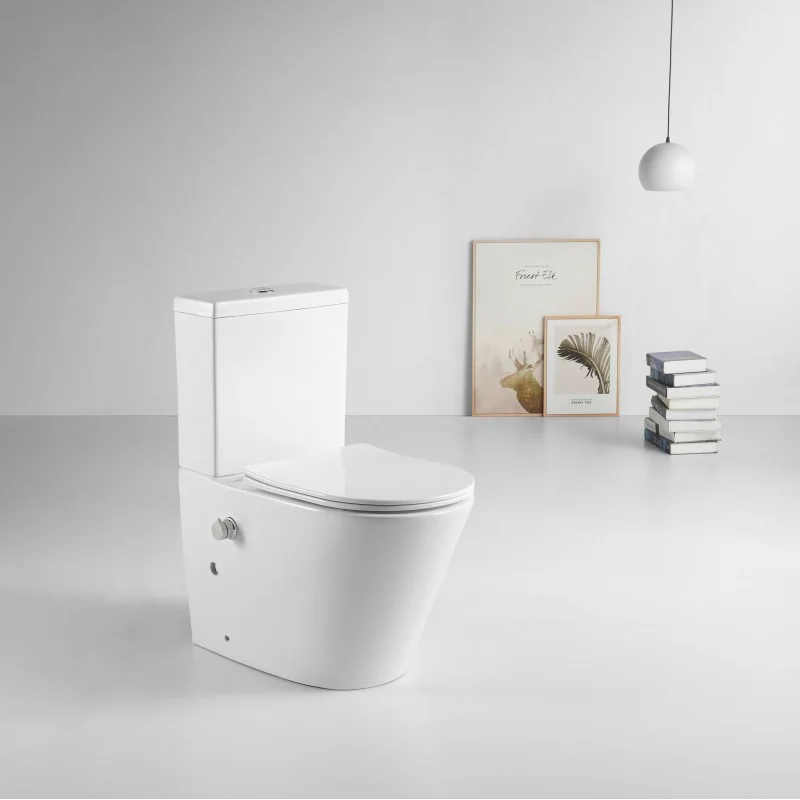 Klozet Short Projection Rimless Back-to-Wall Bidet