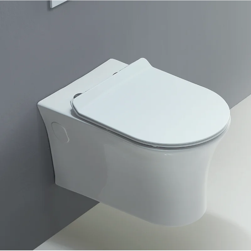 Wave wall hung wc pan with soft close seat