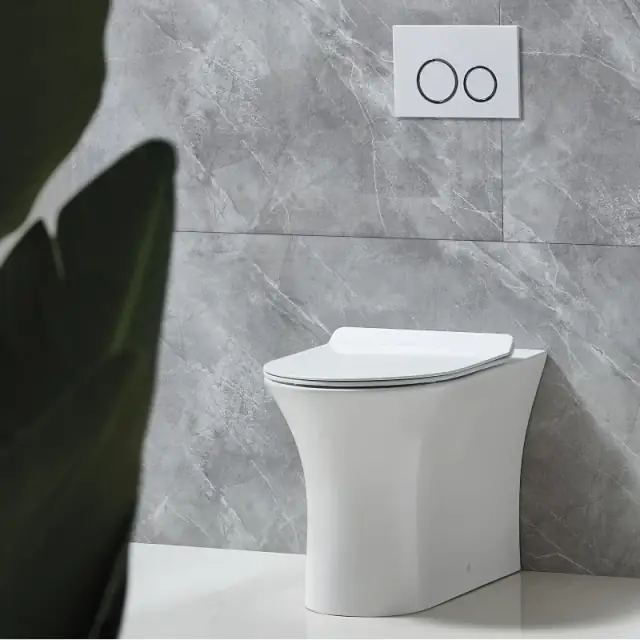 Wave back to wall wc pan with soft close seat